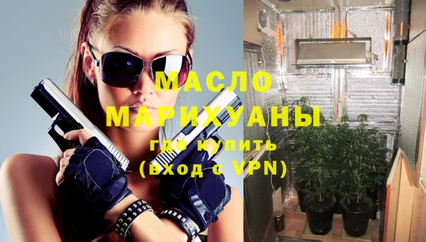 молекула духа Арсеньев