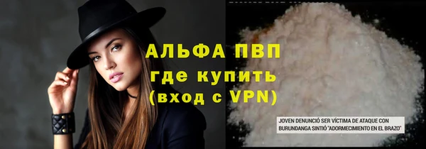 молекула духа Арсеньев