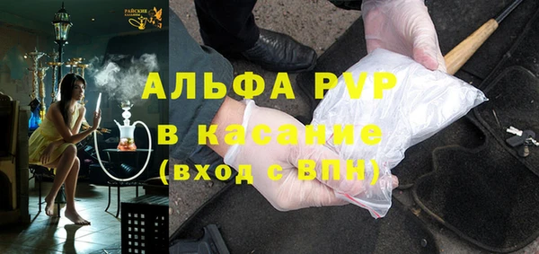 молекула духа Арсеньев