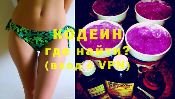молекула духа Арсеньев